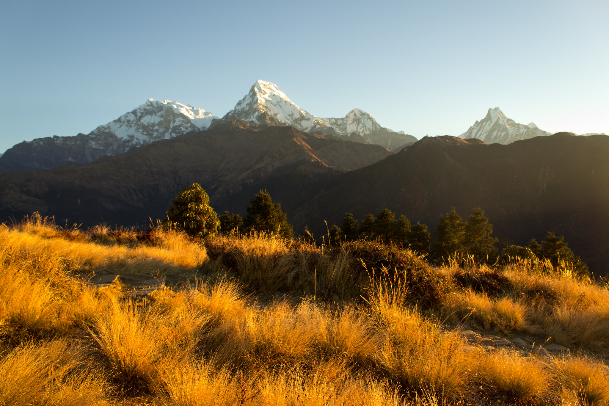Poon Hill Sunrise Trek